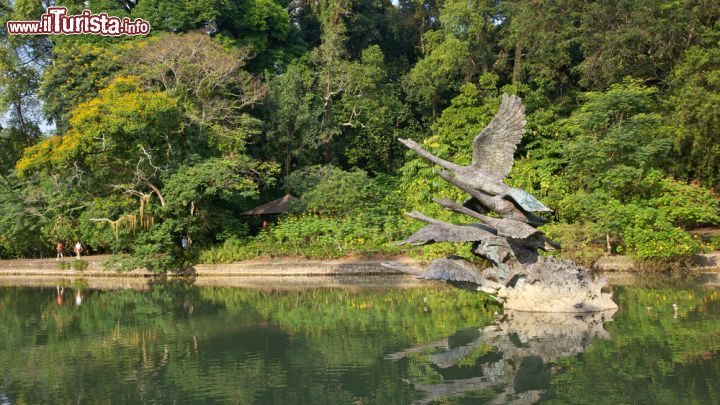 Immagine Swan Lake e scultura ai Botanic Gardens di Singapore - Un pizzico di romanticismo? Non perdete lo Swan Lake: nelle acque di questo lago dei Botanic Gardens si trova una minuscola isola ricoperta di palme e dove nuotano splendidi esemplari di cigni muti, fatti arrivare direttamente da Amsterdam. Questo lagho è uno dei tre presenti nell'oasi urbana © David Steele / Shutterstock.com