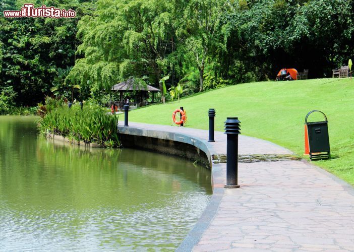 Immagine Tour nei Botanic Gardens di Singapore - Prati ondulati, giardini a tema e limpidi laghi: per riprendersi istantaneamente dallo stress fate una passeggiata in quest'oasi naturalistica della città asiatica © Lucy Liu / Shutterstock.com