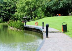 Tour nei Botanic Gardens di Singapore - Prati ondulati, giardini a tema e limpidi laghi: per riprendersi istantaneamente dallo stress fate una passeggiata in quest'oasi naturalistica della ...