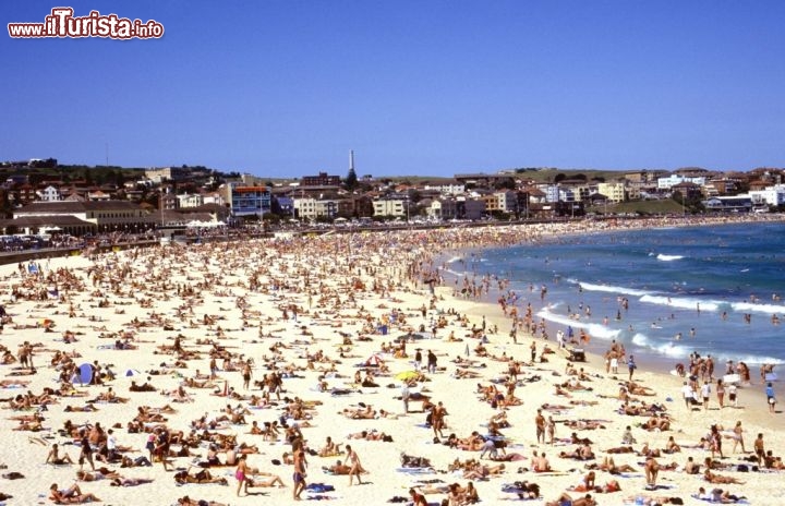 Bondi Beach, New South Wales