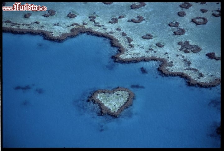 Whitsundays, Queensland: il celebre heart reef, la barriera a forma di cuore