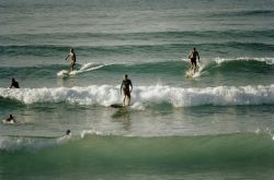 Surfing in New South Wales
