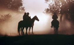 Cattle drive: con le mandrie in South Australia ...