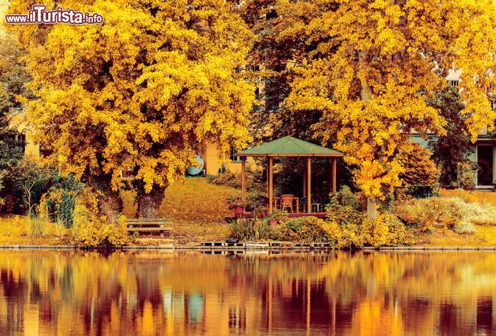 Immagine Autunno nel parco di Schloss Charlottenburg a Berlino. La tenuta del castello si trova lungo la riva del fiume Sprea, che attraversa la capital tedesca, e che fornisce l'acqua al laghetto Karpfenteich - foto © Elena Krivorotova / Shutterstock.com