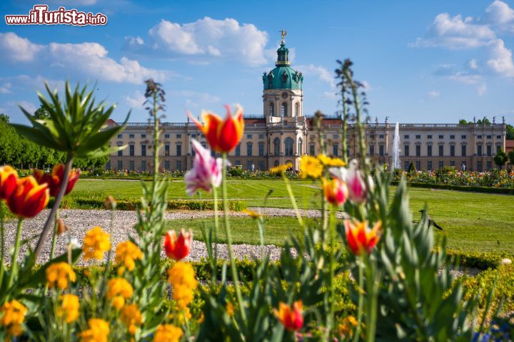 Immagine I fiori del giardino di Charlottenburg a Berlino. Inizialmente pensato come giardino alla francese sul finire del XVII secolo, fu progressivamente modificato fino ad assumere le sembianze di un giardino all'inglese - foto © Sergey Kelin / Shutterstock.com