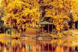 Autunno nel parco di Schloss Charlottenburg a Berlino. La tenuta del castello si trova lungo la riva del fiume Sprea, che attraversa la capital tedesca, e che fornisce l'acqua al laghetto ...