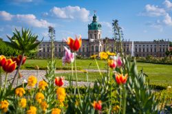 I fiori del giardino di Charlottenburg a Berlino. Inizialmente pensato come giardino alla francese sul finire del XVII secolo, fu progressivamente modificato fino ad assumere le sembianze di ...