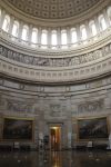 La rotonda del Campidoglio di Washington - All'interno della rotonda dello State Capitol si possono ammirare numerosi dipinti di carattere storico che illustrano lo sviluppo dell'identità ...