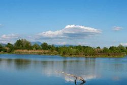 Oltre al museo è interesante la visita all contigua Riserva Naturale la Querciola presso Casa di Zela a Quarrata