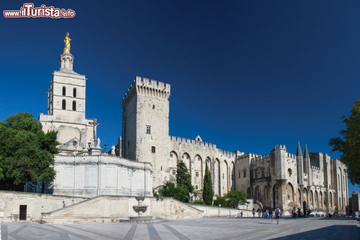 Immagine Vista panoramica del Palazzo dei Papi a Avignone in una giornata di sole invernale, in Provenza - © Adam Dufek/ Shutterstock.com