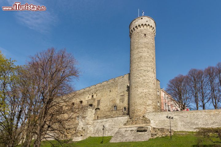 Immagine Fortificazioni e torre piu alta del complesso del Castello di Tallin, la capitale dell'Estonia - © nsafonov / Shutterstock.com