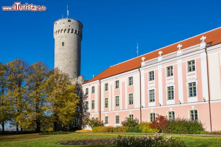 Immagine Si chiama Pikk Hermann ed è la torre più alta del complesso del Toompea Loss, l'antico castello del centro di Tallin - © Andrei Nekrassov / Shutterstock.com