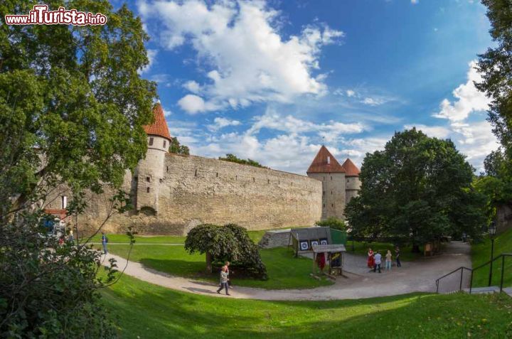 Immagine Il grande Castello di Tallin, Toompea Loss, si erge sull'omonima collina della capitle dell'Estonia - © gumbao / Shutterstock.com