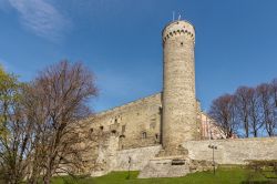 Fortificazioni e torre piu alta del complesso del Castello di Tallin, la capitale dell'Estonia - © nsafonov / Shutterstock.com
