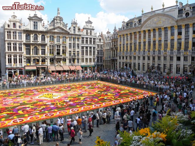 Immagine Ogni due anni i turisti si ammassano sui lati della Grand Place per ammirare il tappeto di fiori, il Flower Carpet di Bruxelles - © skyfish / Shutterstock.com