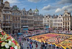 Grande successo di pubblico al Flower Carpet Festival di Bruxelles sulla Grand Place. Le prossimi edizioni saranno quelle del 2016, 2018 e 2020, sempre nel mese di agosto - © Borna_Mirahmadian ...