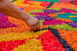 La costruzione di un flower carpet richiede molta pazienza. Quello della Grand Place di Bruxelles si avvale della collaborazione di decine di volontari - © Fotos593 / Shutterstock.com