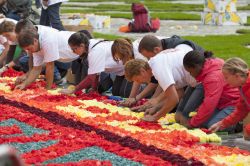 La preparazione del tappeto di fiori alla Grand Place di Bruxelles: l'evento cade nel mese d'agosto degli anni pari - © Sergey Dzyuba / Shutterstock.com 