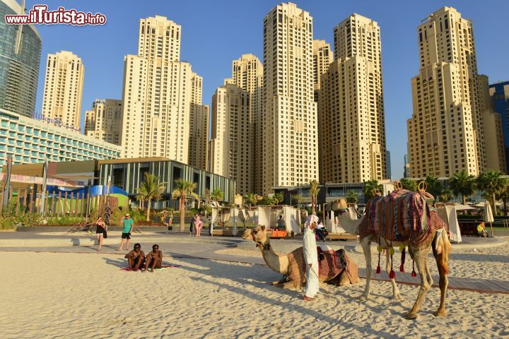 Immagine La spiaggia di Dubai Marina circondata dai grattacieli - © Luca Pelagatti