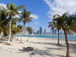 Palme lungo la spiaggia della Marina di Dubai - © Merlin74 / Shutterstock.com 