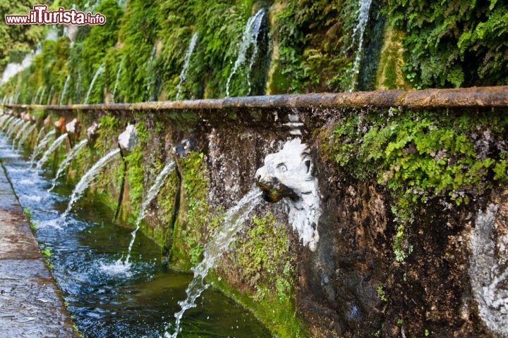 Immagine Le Cento Fontane di Villa d'Este a Tivoli - © PerseoMedusa / Shutterstock.com