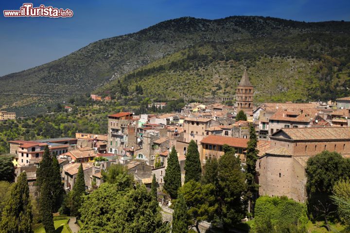 Immagine La città di Tivoli fotografata dal giardino di Villa d'Este - © Vladimir Mucibabic / Shutterstock.com