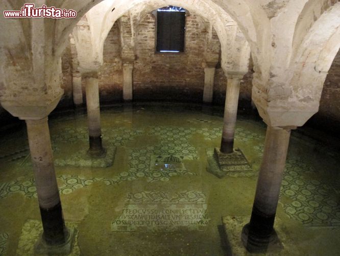 Cosa vedere e cosa visitare Basilica di San Francesco