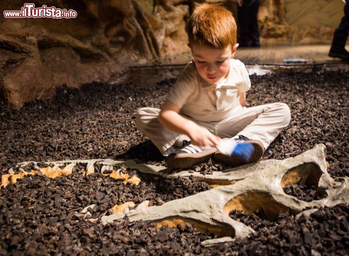 Immagine La visita al Childrens Museum di Navi Pier credit A.Alexander