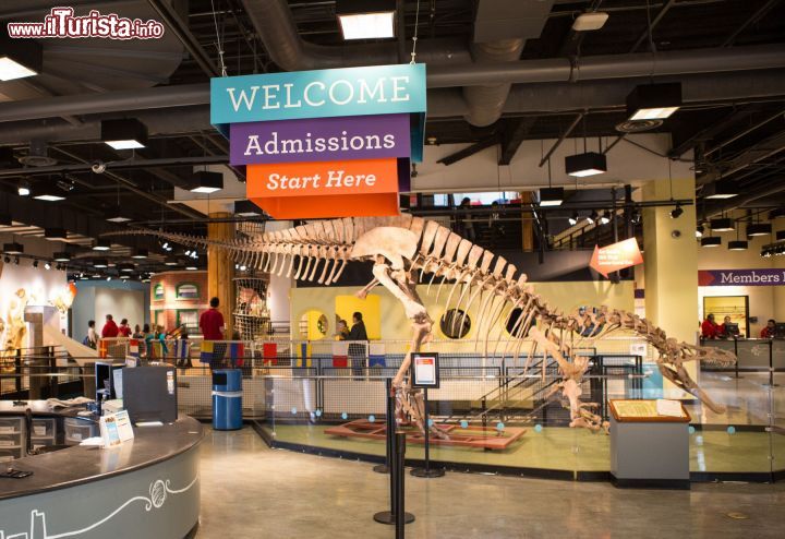 Immagine Interno del Childrens Museum presso il Navy Pier di Chicago - photocredit Adam Alexander