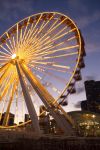 La Ferris Wheel di Navy Pier a Chicago