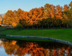 Autunno al parco Frogner di Oslo. Al suo interno di trova la famosa Installazione Vigeland (Vigelansanlegget) il complesso di oltre 200 statue, la principale attrazione turistica della capitale ...