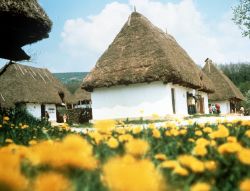 Il Museo skanzen a Szentendre 