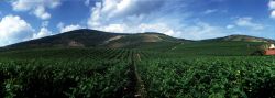 I vigneti del Tokaj