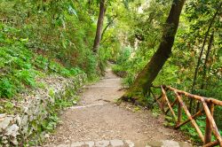 Un sentiero attrezzato per la visita, all'interno del parco di VIlla Gregoriana a Tivoli - © Catarina Belova / Shutterstock.com