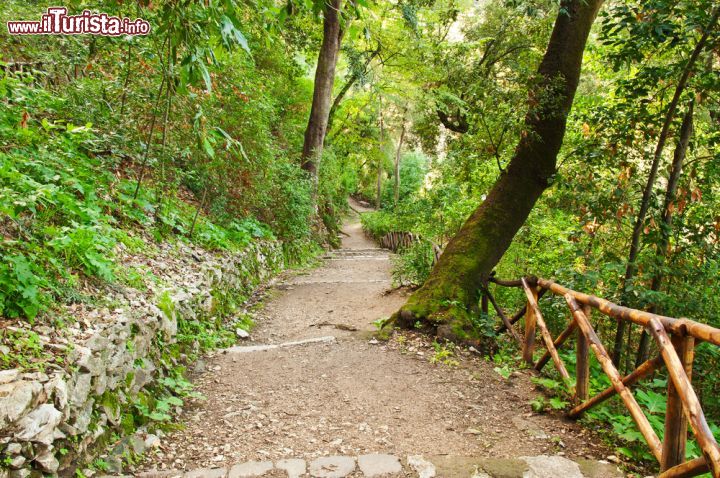 Immagine Un sentiero attrezzato per la visita, all'interno del parco di VIlla Gregoriana a Tivoli - © Catarina Belova / Shutterstock.com