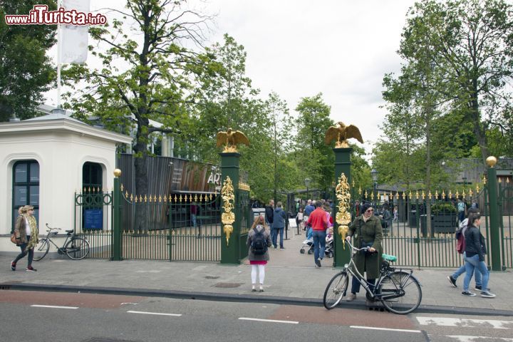 Immagine L'Ingresso dello Zoo Reale di Amsterdam in via Plantage Kerklaan 38-40. Si tratta dello zoo più antico di Olanda, che vanta al suo interno numerosi edifici del 18° secolo  - © Anton Havelaar / Shutterstock.com