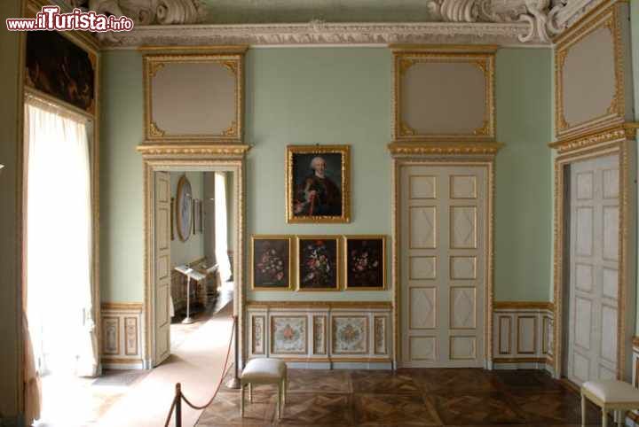Immagine La visita agli interni di VIlla della Regina a Torino