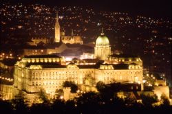 Veduta Palazzo Reale di Budapest
