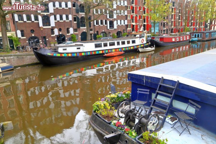 Immagine Uno splendido canale del quartiere Jordaan, con le case tradizionali e le  barche colorate di Amsterdam - © florinstana / Shutterstock.com