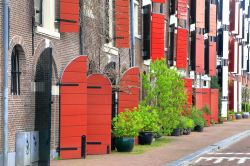Le case tipiche in mattoni, e imposte dipinte di rosso nel quartiere Jordaan di Amsterdam (Paesi Bassi) - © florinstana / Shutterstock.com