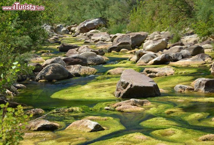 Immagine Risalendo il fiume Pollina in Sicilia, nei pressi delle Gole di Tiberio - © Madonie Outdoor