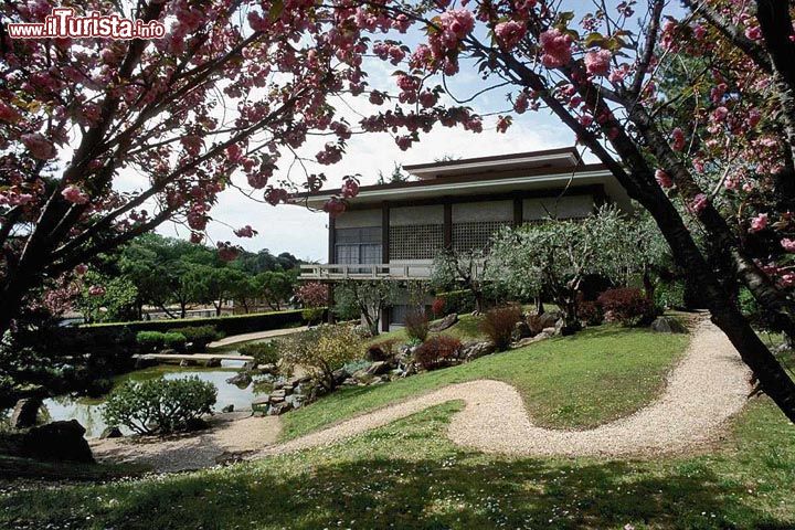 Immagine La zona esterna dell'Istituto Giapponese di Cultura a Roma, con il piccolo ma affascinante Giardino GIapponese, opera di Ken Nakajima, che ne creò la progettazione negli anni '60