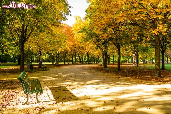 Immagine Berlin Grosser Tiergarten, il grande parco della capitale tedesca fotografato in autunno - © SP-Photo / Shutterstock.com