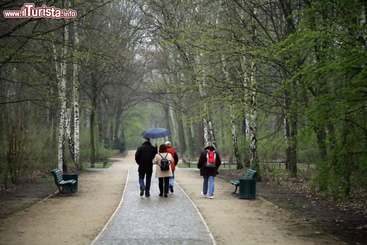 Immagine Passeggiata tra gli alberi del parco Tiergarten a Berlino - © KN / Shutterstock.com