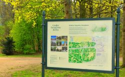 La visita al Grosser Tiergarten il grande parco di Berlino che offre tantissimi spunti di visita - © Lucian Milasan / Shutterstock.com 