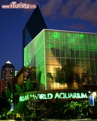 Dallas World Aquarium