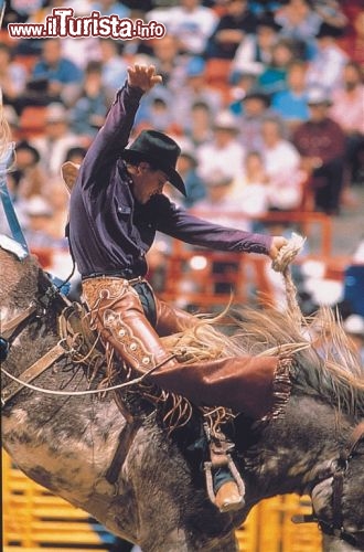 Mesquite rodeo