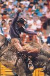 Mesquite rodeo