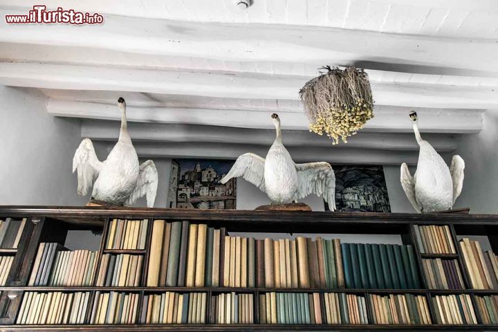 Immagine La sala dei cigni o per meglio dire la biblioteca della Casa-Museo di Salvador Dali a Cadaques, in Spagna - © Claudia Casadei / amarcordbarcellona.com