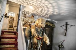 La sala dell'Orso, una delle stanze spettacolari della Casa-Museo di Salvador Dali a Portlligat in Spagna - © Claudia Casadei / amarcordbarcellona.com